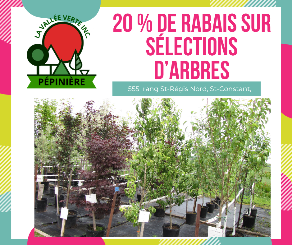20%arbres-pepiniere 20% su sélections d'arbres à la Pépinière La Vallée Verte à St-Constant