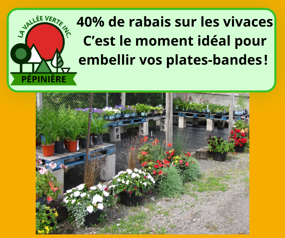 40% vivaces-pepiniere 40% sur les vivaces Pépinière La Vallée Verte à St-Constant